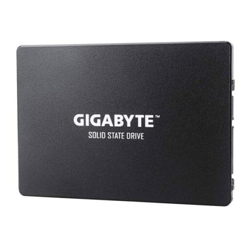 HD INTERNO 256GB SOLIDO 2.5 GIGABYTE GP-GSTFS31256GTND